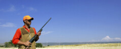 Sunday Hunting Legislative Efforts
