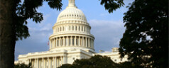 Heading into the 2014 Elections