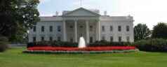 40 Gun Control Proposals on White House Desks
